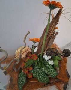 Photo Art Floral Janvier 2025-2