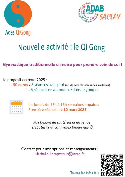 Flyer Qi Gong